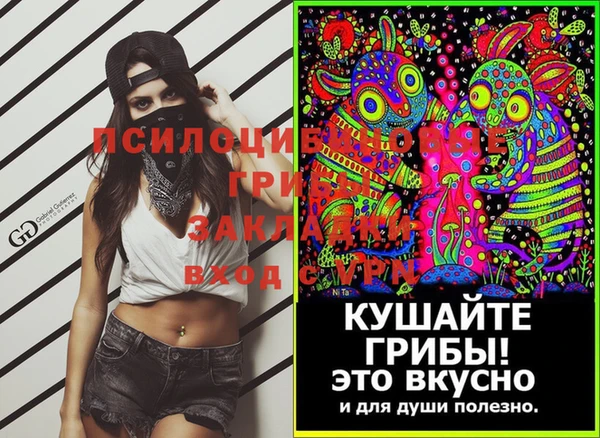 сатива Армянск