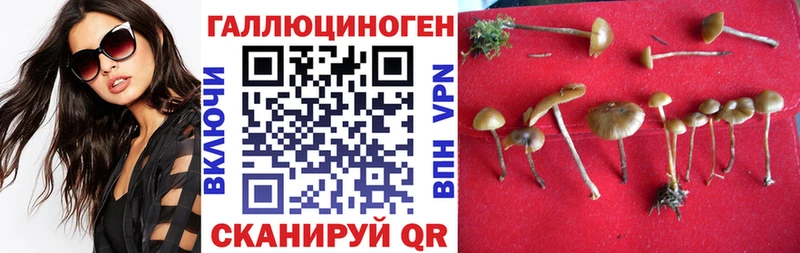 Псилоцибиновые грибы Psilocybe  kraken рабочий сайт  Североморск 